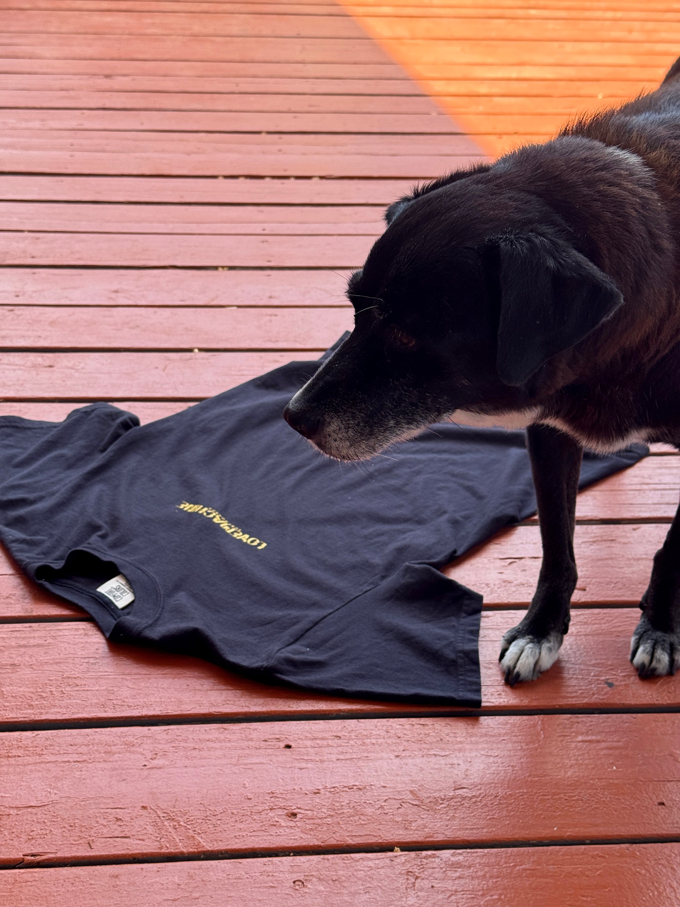 BLACK & GOLD Tee
